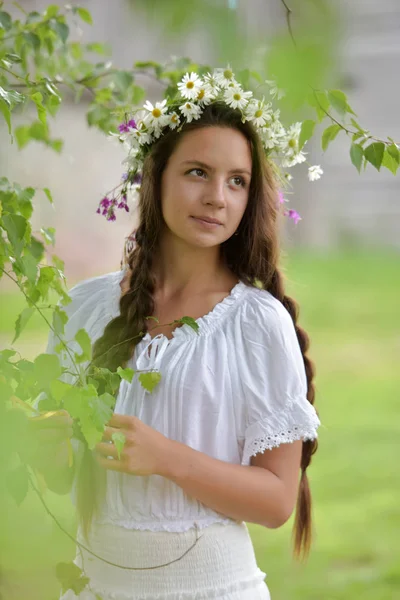 Süße russische Mädchen in einer weißen Birke im Sommer, mit einem w — Stockfoto