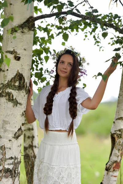 Sweet Russian girl girl in a white birch in the summer, with a w — Stock Photo, Image