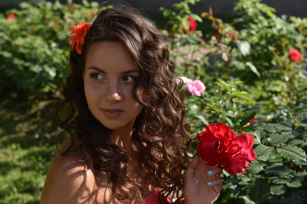 Hermosa chica con rizos junto a rosas rojas en el jardín — Foto de Stock