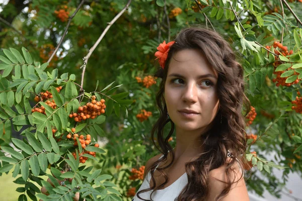 Beautiful girl with curls next to rowan on the bench — Stock Photo, Image