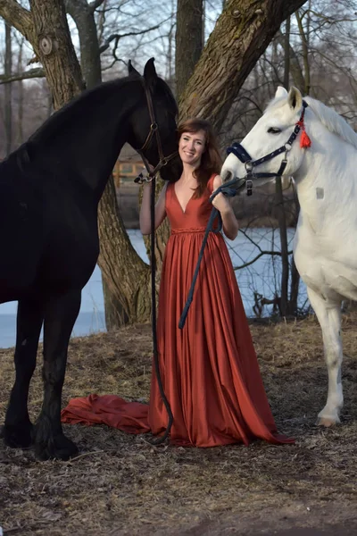 Vrouw in een rode lange jurk met twee paarden in de natuur — Stockfoto