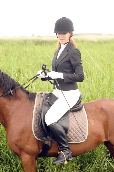 Caballo marrón en una sesión de entrenamiento con una jinete caucásica —  Fotos de Stock