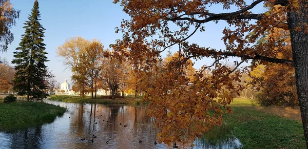 Staw i Jesienny krajobraz — Zdjęcie stockowe