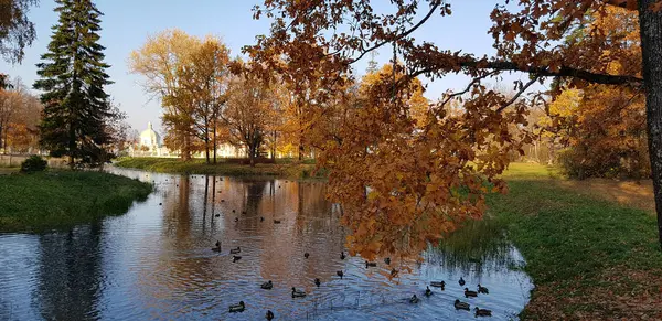 Staw i Jesienny krajobraz — Zdjęcie stockowe