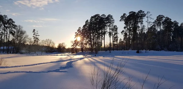 Pôr do sol no inverno e sombras longas de árvores — Fotografia de Stock