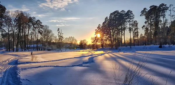 Sunset in winter and long shadows from trees — Stock Photo, Image