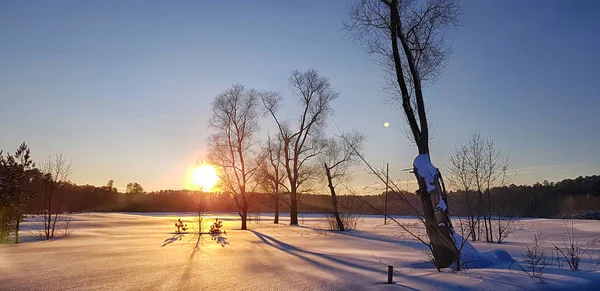 Pôr do sol no inverno e sombras longas de árvores — Fotografia de Stock