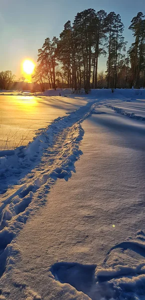 Sunset in winter and long shadows from trees — Stock Photo, Image