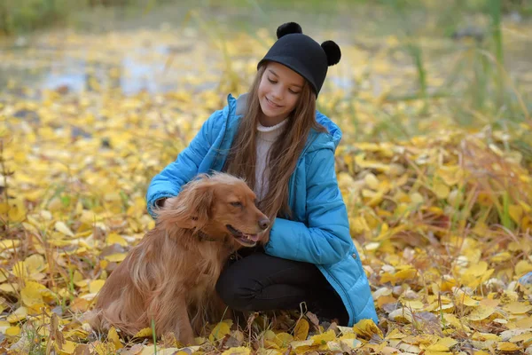 Fille dans une veste bleue marche avec un épagneul anglais — Photo