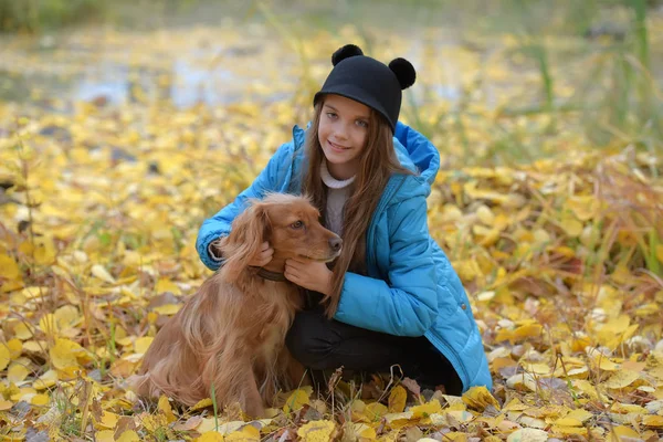 Mavi ceketli kız Bir İngiliz spaniel ile yürüyor — Stok fotoğraf