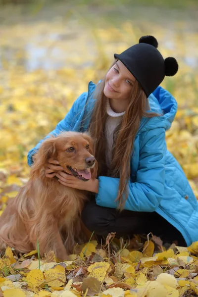 Menina em uma jaqueta azul anda com um spaniel Inglês — Fotografia de Stock