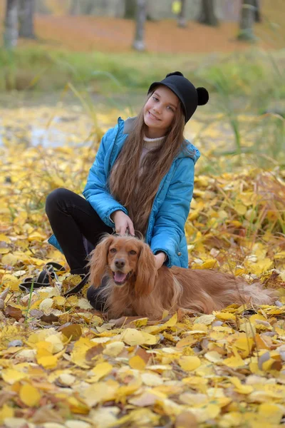 Dívka v modrém saku chodí s anglickým kokršpaněl — Stock fotografie