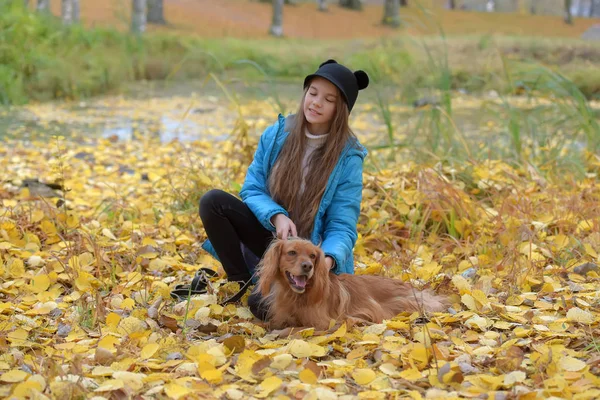 Meisje in een blauwe jas wandelingen met een Engelse Spaniel — Stockfoto