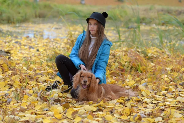 Fille dans une veste bleue marche avec un épagneul anglais — Photo