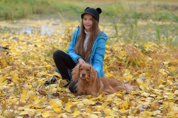 Mädchen in blauer Jacke geht mit einem englischen Spaniel — Stockfoto