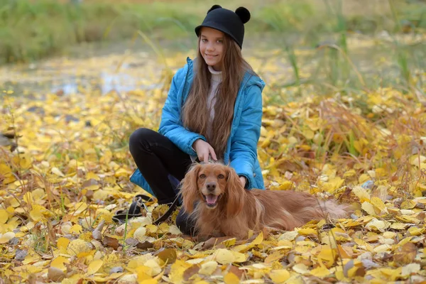 Meisje in een blauwe jas wandelingen met een Engelse Spaniel — Stockfoto