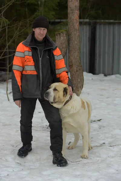 Rifugio per cani randagi di grandi razze. Rifugio dipendente con al — Foto Stock