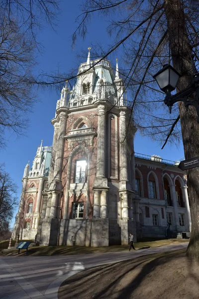 Tsaritsyno parque e torre edifícios — Fotografia de Stock