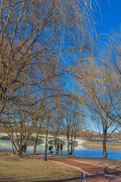 Spring Park, blå himmel, bro och träd i Tsaritsyno — Stockfoto