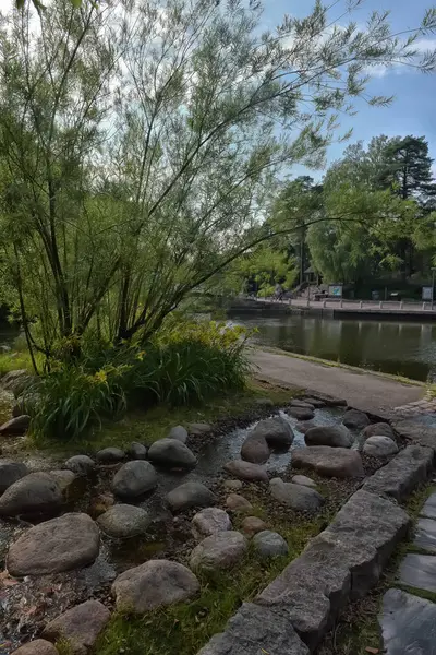 Hermoso estanque con árboles en el parque Sapokka — Foto de Stock