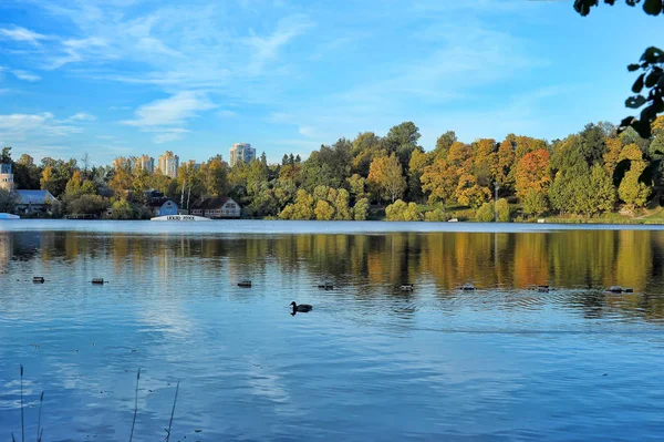 Lake in autumn, blue sky — Stock Photo, Image