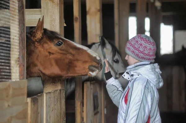 Girl in the winter with a horse — Stock Photo, Image