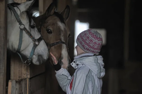 女孩在冬天与马 — 图库照片
