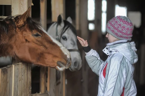 女孩在冬天与马 — 图库照片