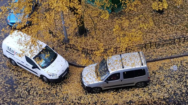 Автомобили, припаркованные во дворе многоквартирного дома в листе фа — стоковое фото