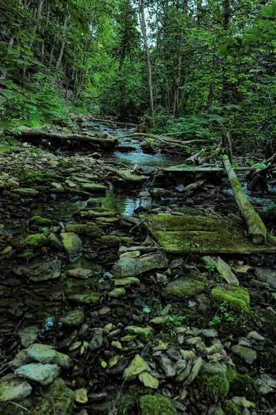 Creek Stones Overgrown Moss — Stock Photo, Image