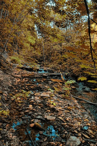 Riacho Entre Pedras Cobertas Musgo — Fotografia de Stock