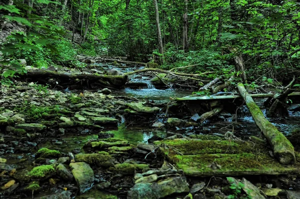 Creek Stones Overgrown Moss — Stock Photo, Image