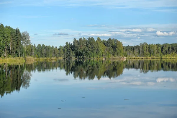 Jezero Stromy Břehu Odraz Vodě — Stock fotografie