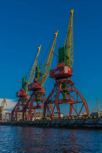 Kaliningrad Ryssland 2020 Hamnkranar Sommardagen Hamn För Handel — Stockfoto