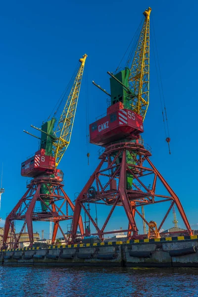 Kaliningrad Rússia 2020 Guindastes Portuários Dia Verão Porto Marítimo Comercial — Fotografia de Stock