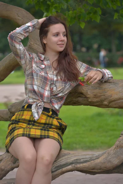 Piękna Smukła Brunetka Dziewczyna Spódnicy Kratę Bluzka Lecie Przy Drzewie — Zdjęcie stockowe