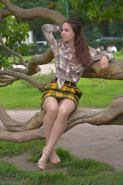 美丽纤细的黑发姑娘穿着格子花裙 夏天在公园的一棵树旁穿衬衫 — 图库照片