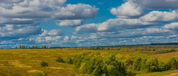 黄色い畑と青い空の上に雲があり — ストック写真