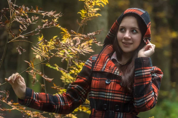 Fiatal Barna Lány Kockás Kabátban Őszi Erdőben — Stock Fotó