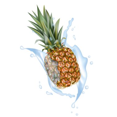 Ananas gerçekçi sıçrama tasarım öğeleri ile 3d vektör. Ambalaj sıçramasına ananas suyu, kahve, süt, düşen su, kokteyl, çikolata. Web tasarım için iyi. EPS 10.
