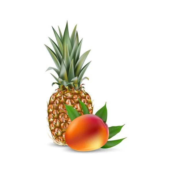 芒果和菠萝 实际矢量 Eps 包装模板 品牌广告 芒果叶 在白色上隔离 — 图库矢量图片