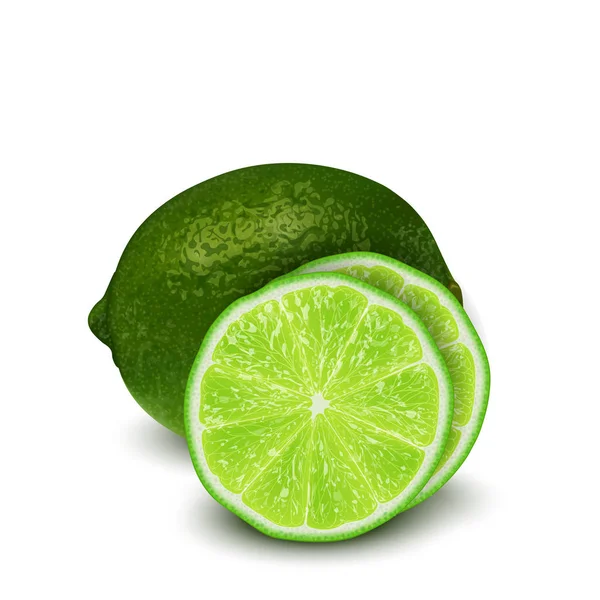 Realista Vector Ilustración Fruta Lima Verde Rodajas Cítricos Coloridos Bueno — Vector de stock