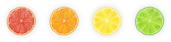 逼真的3D 矢量插画集 切片橙 葡萄柚 柠檬和石灰 丰富多彩的柑橘背景 Eps — 图库矢量图片