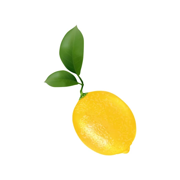 Frutta Limone Succo Fresco Realistico Giallo Limone Maturo Con Foglie — Vettoriale Stock