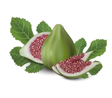 Kırmızı ve yeşil incir. Gerçekçi 3d incir yaprakları ile. 3d illüstrasyon izole beyaz üzerinde ayrıntılı. Öğe için Web tasarım veya ambalaj baskı. Vektör çizim. 