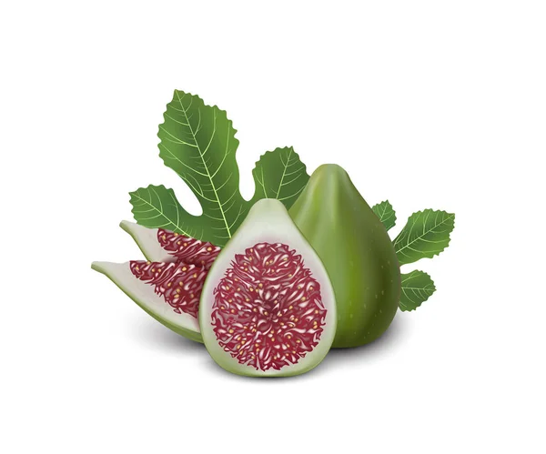 Vermelho Verde Fig Figos Realistas Com Folhas Ilustração Detalhada Isolado — Vetor de Stock