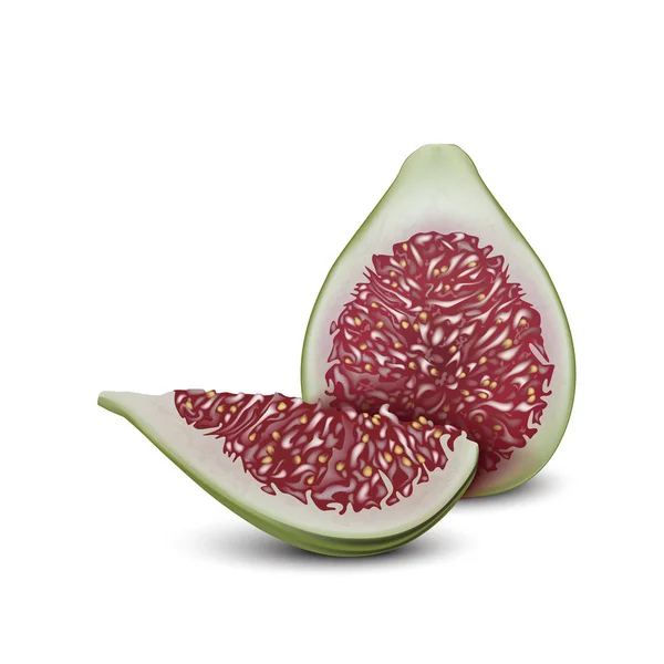 Gemeenschappelijke Fig Fruit Realistische Vector Design Fig Knippen Gesneden Stuk — Stockvector