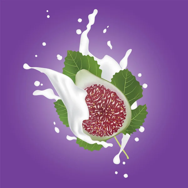 Rojo Verde Fig Higos Realistas Con Hojas Salpicando Leche Ilustración — Archivo Imágenes Vectoriales