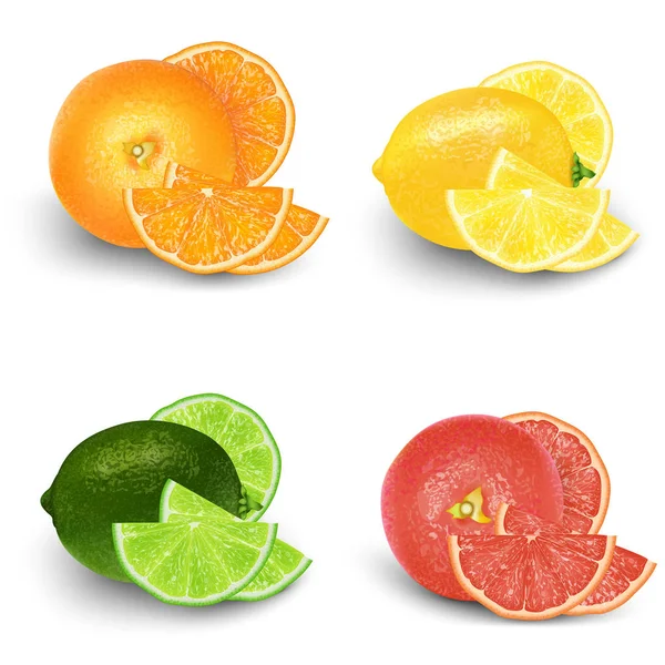 Zitrone Limette Orange Grapefruit Frisches Obst Set Realistisches Vektor Illustrationsset — Stockvektor