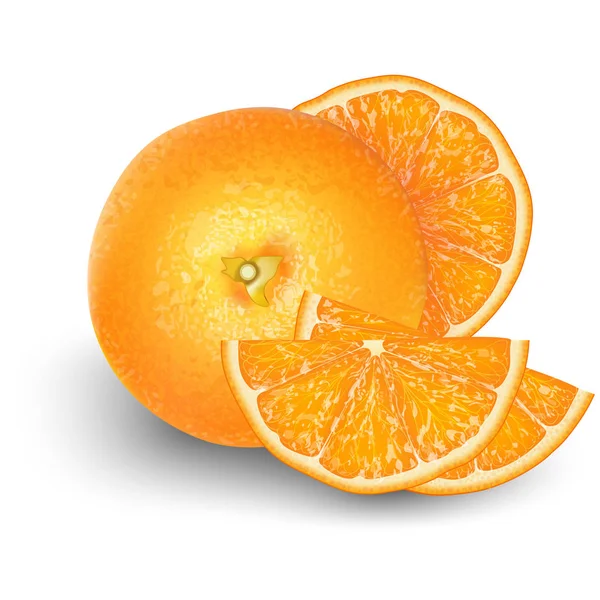 Oranje Fruit Voor Vers Sap Realistische Oranje Rijp Citrus Geïsoleerd — Stockvector